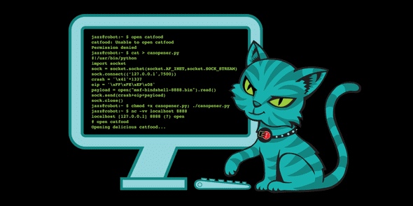 coder cat 2